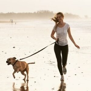 Kess Pet´n House Sitting