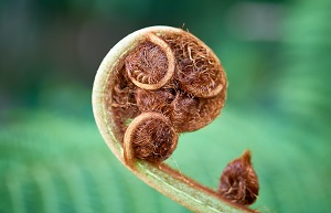 Sébastien Noël on Unsplash